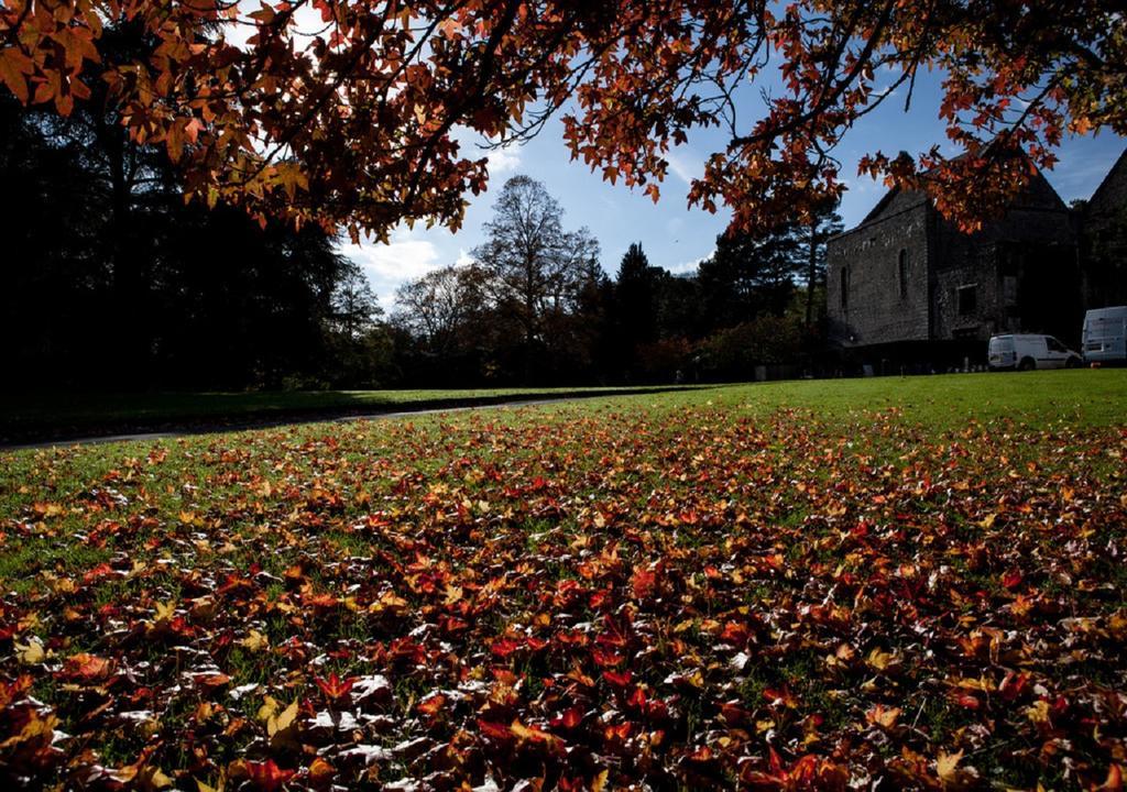 Dartington Hall Totnes Ngoại thất bức ảnh